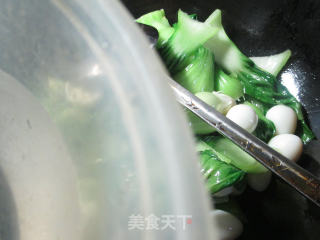 鹌鹑蛋烧青菜的做法步骤：4