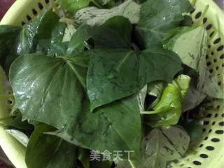 虾米炒红薯叶的做法步骤：1