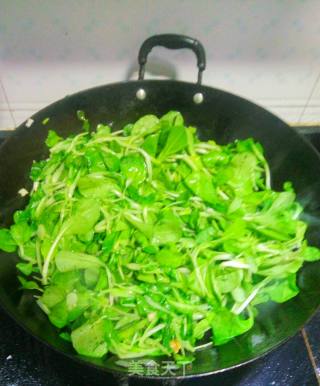 清炒鸡毛菜的做法步骤：5