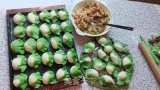 翡翠白菜饺子的做法步骤：13