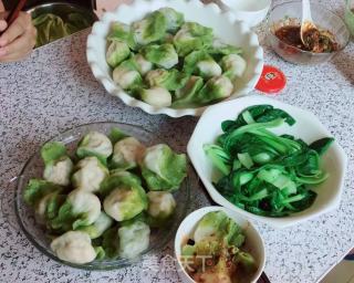 翡翠白菜饺子的做法步骤：16