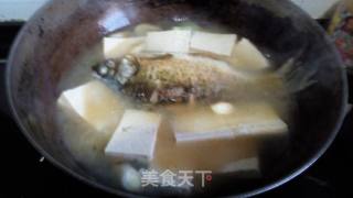 鲫鱼炖豆腐的做法步骤：6