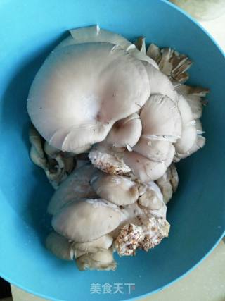 煎平菇的做法步骤：1