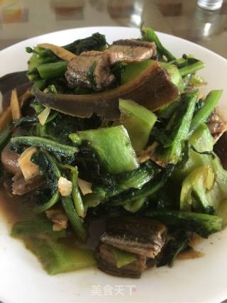 香麦黄鳝的做法步骤：7