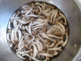 牛肉粉丝煲的做法步骤：7