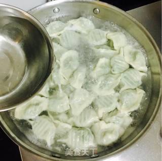 荠菜猪肉水饺的做法步骤：12