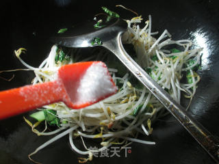 青菜炒绿豆芽的做法步骤：5