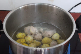 栗子鸡汤的做法步骤：4