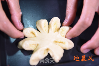 太阳花椰香面包的做法步骤：10