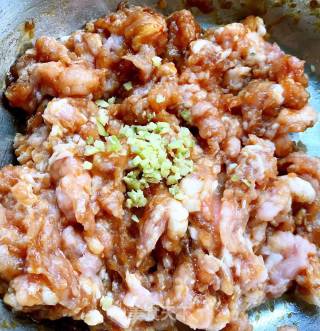圆葱鲜肉馅饼的做法步骤：4
