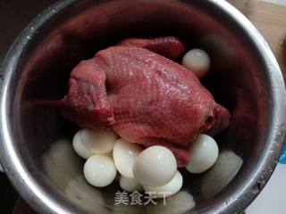 #炖菜#黄芪党参炖布鸽的做法步骤：4