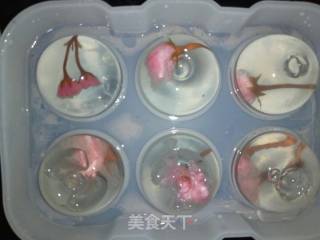 透明果冻的做法步骤：5
