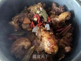 红焖驴尾的做法步骤：7