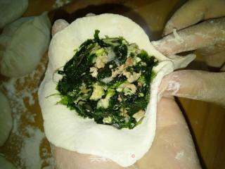 大连麦穗海菜包子的做法步骤：14