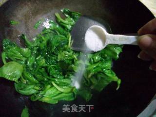 清炒蓬蒿的做法步骤：2
