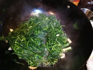 清炒菊花叶的做法步骤：3
