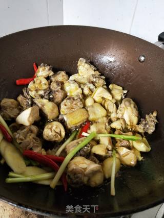 小鸡炖蘑菇的做法步骤：5
