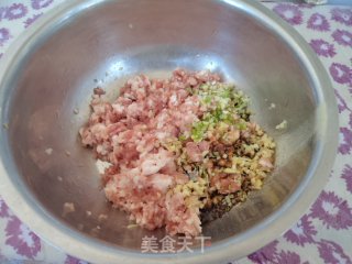 倭瓜猪肉馅蒸饺的做法步骤：4