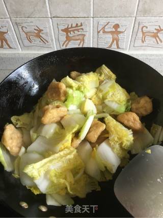 白菜豆腐炖肉的做法步骤：5