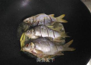 干煎鱼的做法步骤：5