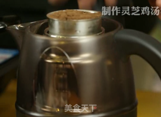 灵芝鸡汤—萃取壶来帮忙的做法步骤：4