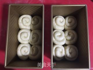 中种白吐司的做法步骤：10