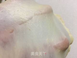 70%中种酸奶吐司～植物油版的做法步骤：5