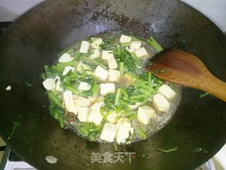 茼蒿豆腐煲的做法步骤：9