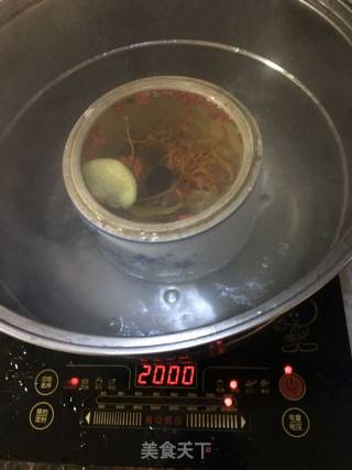 冬虫花炖斑鸠的做法步骤：4