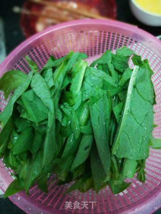蒜茸炒苦脉的做法步骤：1