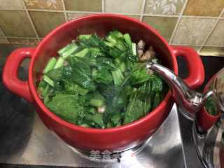 坤博砂锅芥菜煲的做法步骤：6