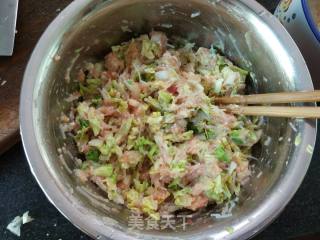 【学生早餐】双色烫面蒸饺的做法步骤：5