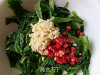 蒜泥油麦菜的做法步骤：6