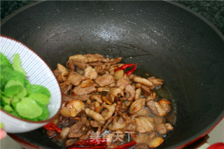 香辣薄荷羊肉的做法步骤：10