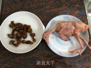 姫松茸鸽子汤的做法步骤：1