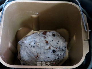 健康淳朴的【全麦蓝莓碧根果软欧包】的做法步骤：6