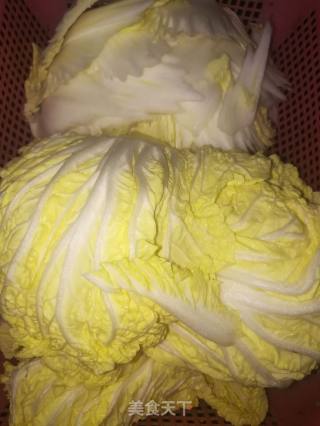 蚝油白菜的做法步骤：2