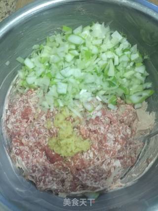 翡翠羊肉馅儿饺子的做法步骤：2