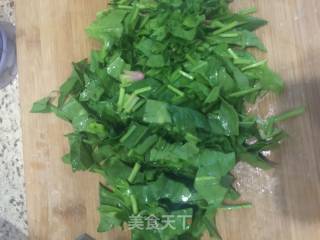 翡翠羊肉馅儿饺子的做法步骤：6