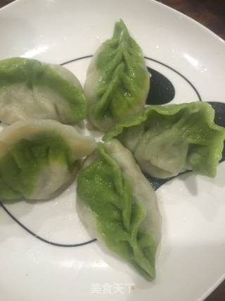 翡翠羊肉馅儿饺子的做法步骤：14