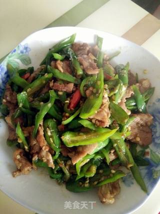 辣椒炒肉的做法步骤：8