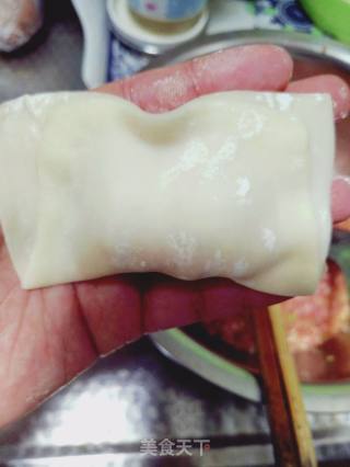 大馅馄饨的做法步骤：5