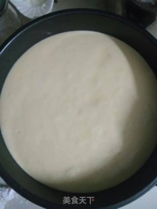 轻奶酪蛋糕的做法步骤：9