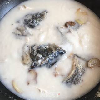 鱼头豆腐汤的做法步骤：5