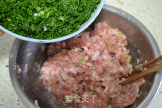 茴香大肉饺子的做法步骤：8