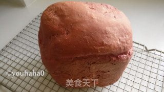红曲酒糟土司的做法步骤：6