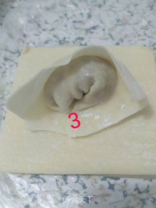 白菜肉馅馄饨的做法步骤：10