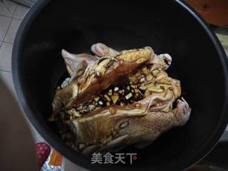 电压力锅版焖鸡的做法步骤：4