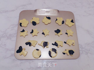 炼奶双色小饼干的做法步骤：13
