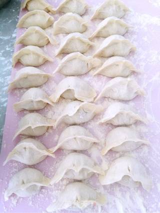 荸荠圆白菜馅儿饺子的做法步骤：15